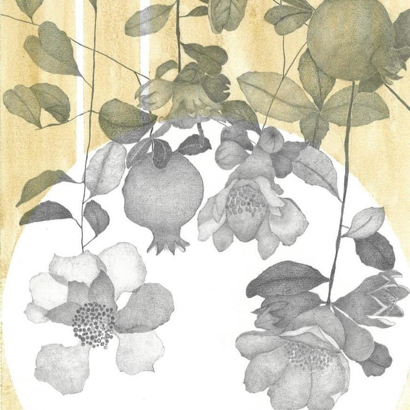 Débora Censi Drawings