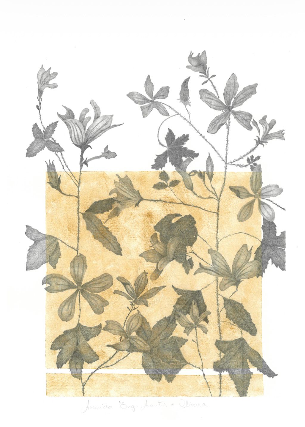 Drawing 38,5x28,5 cm